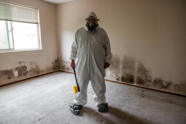 Best Mold Removal Process  in Logan, NM